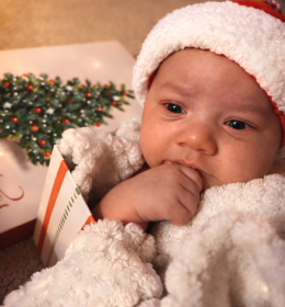 Burgos, Dimetris, Photo