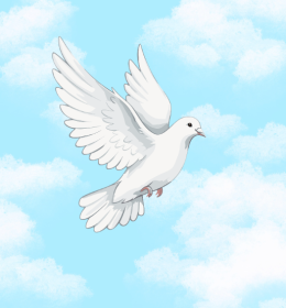 Zimmerman, Leroy Picture