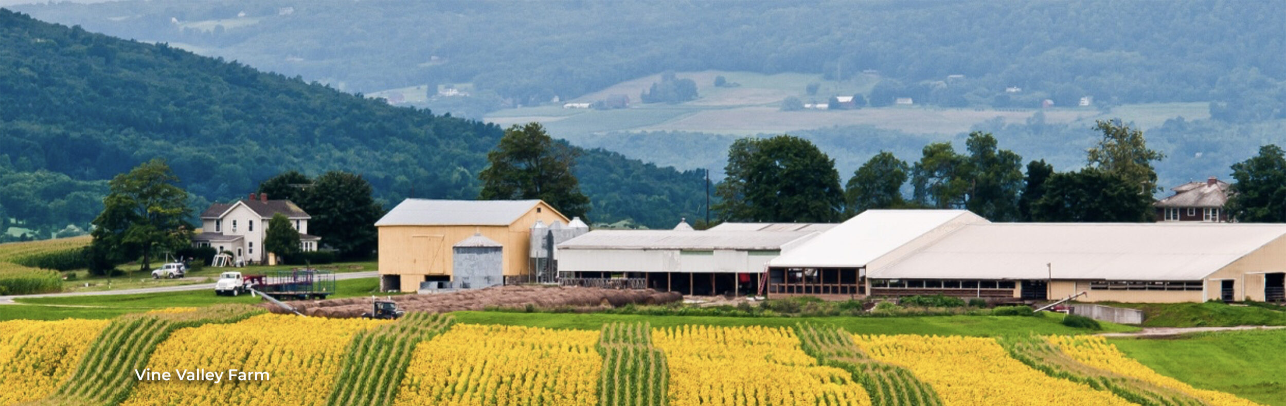 Vine0valleu Farm Kenneth Perkin Funeral Home